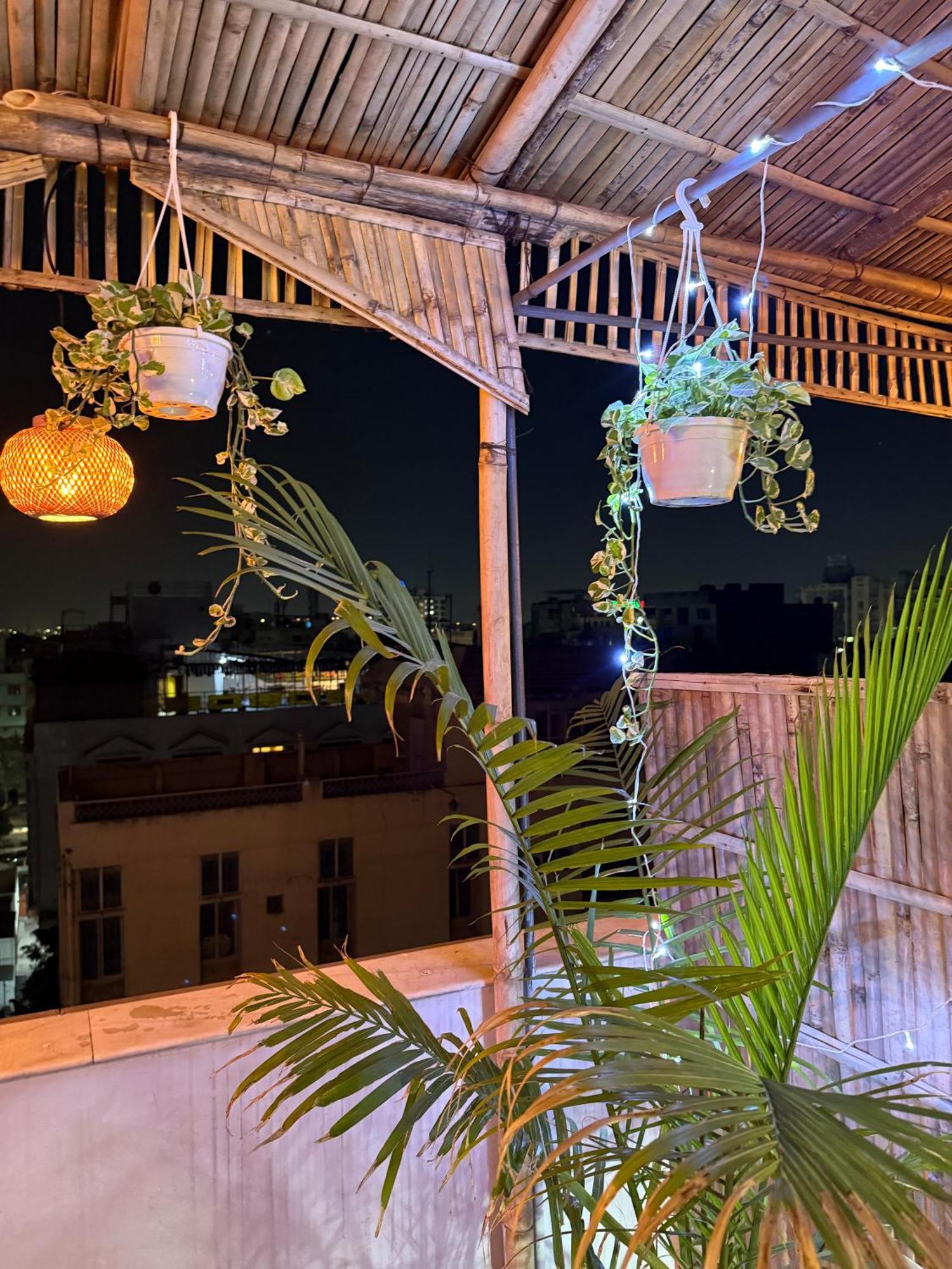 فندق Area 369 جايبور المظهر الخارجي الصورة